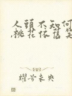 人头不知何处去,桃花依旧笑春风 人头不知何处去,桃花依旧笑春风