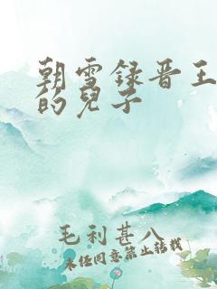 朝雪录晋王是谁的儿子