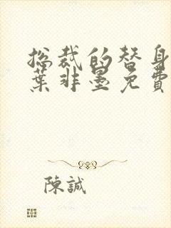 总裁的替身前妻叶非墨免费阅读