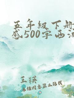 五年级下册读后感500字西游记