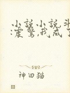 小说小说,斗罗:震惊,我成了比比东
