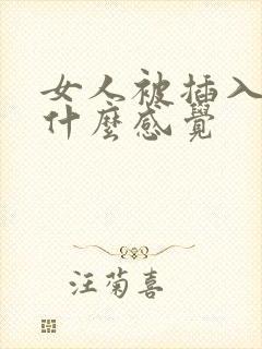 女人被插入后是什么感觉