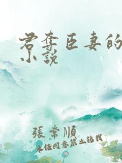 君夺臣妻的古言小说 君夺臣妻的古言小说