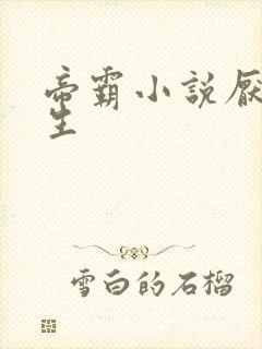 帝霸小说厌笔萧生