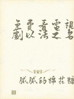 免费看电视连续剧以法之名