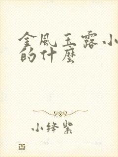 金风玉露小说讲的什么