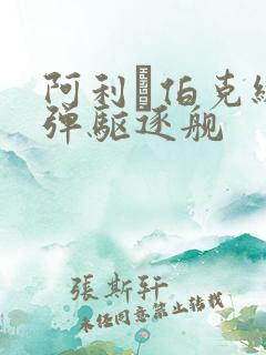 阿利·伯克级导弹驱逐舰 阿利·伯克级导弹驱逐舰