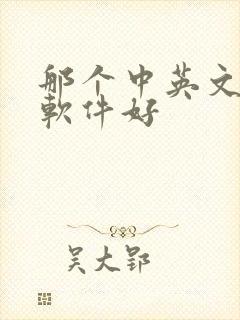 那个中英文翻译软件好