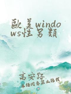 欧美windows性另类