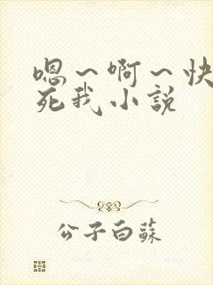 嗯～啊～快点操死我小说