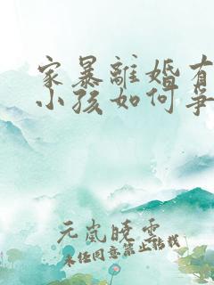 家暴离婚有两个小孩如何争取抚养权