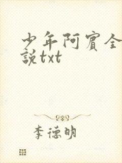 少年阿宾全文小说txt
