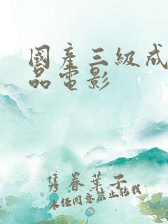 国产三级成人精品电影 国产三级成人精品电影