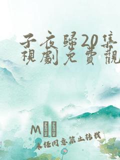 子夜归20集电视剧免费观看全集高清 子夜归20集电视剧免费观看全集高清