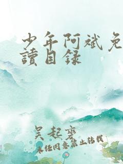 少年阿斌免费阅读目录