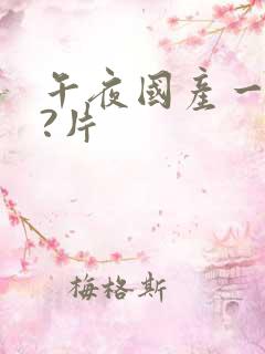 午夜国产一级??片 午夜国产一级??片