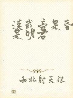 汉武帝是昏君还是明君 汉武帝是昏君还是明君