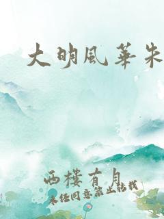 大明风华朱高煦 大明风华朱高煦