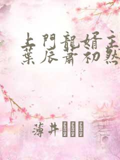 上门龙婿主人公叶辰萧初然