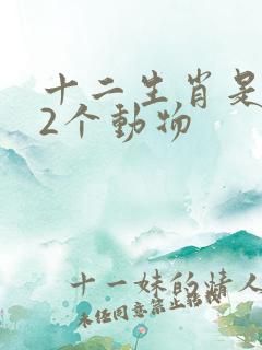 十二生肖是哪12个动物