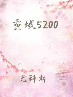 灵域5200