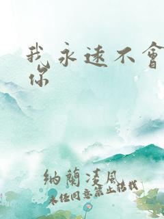 我永远不会放弃你