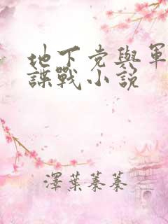 地下党与军统的谍战小说