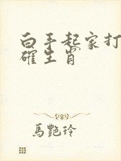 白手起家打一准确生肖