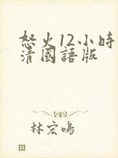 怒火12小时高清国语版