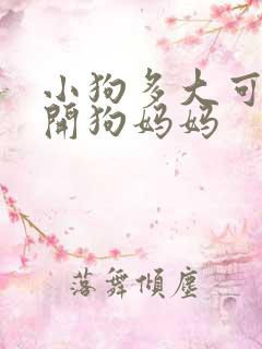小狗多大可以离开狗妈妈