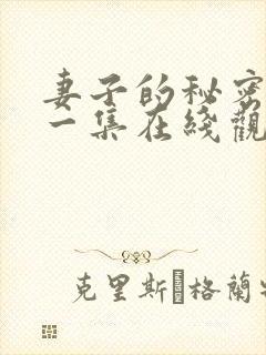 妻子的秘密第十一集在线观看免费