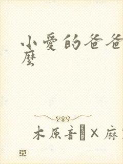 小爱的爸爸叫什么