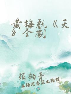 黄梅戏《天仙配》全剧