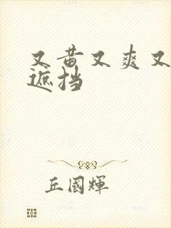 又黄又爽又色无遮挡