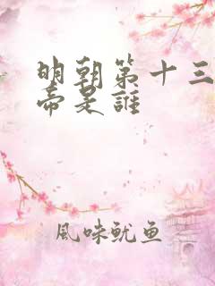 明朝第十三位皇帝是谁