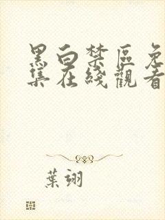 黑白禁区免费全集在线观看