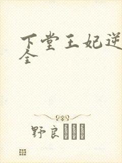 下堂王妃逆袭记全