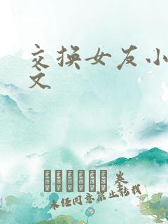交换女友小说全文 交换女友小说全文