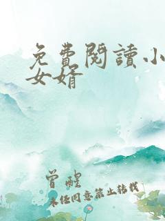 免费阅读小说坏女婿