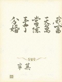 分手当天,我闪婚了亿万富豪小说看