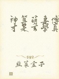 神算萌妻傅太太才是玄学真大佬