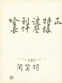 哈利波特正版书长什么样