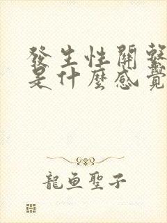 发生性关系女生是什么感觉