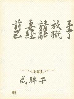 前妻请放手,我已经辞职了短剧在线 前妻请放手,我已经辞职了短剧在线