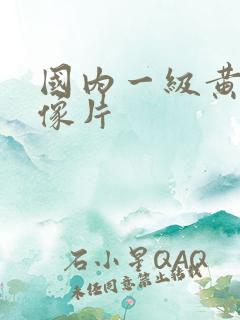 国内一级黄色录像片