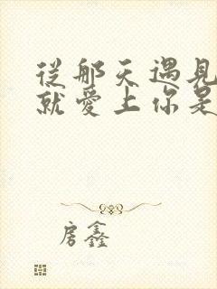 从那天遇见你我就爱上你是什么歌