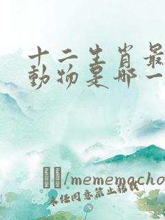 十二生肖最小的动物是哪一个