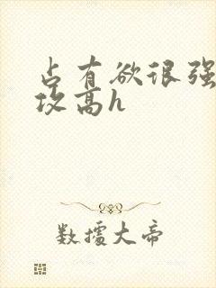 占有欲很强糙汉攻高h