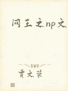 网王之np文