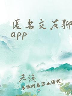 匿名交友聊天的app